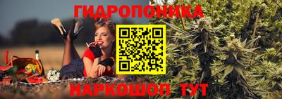 jwh Кингисепп