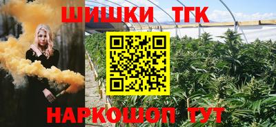 jwh Кингисепп