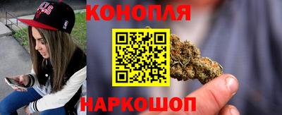 jwh Кингисепп