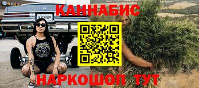 jwh Кингисепп